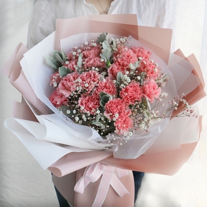 爱的祝福-19枝粉色康乃馨送母亲长辈