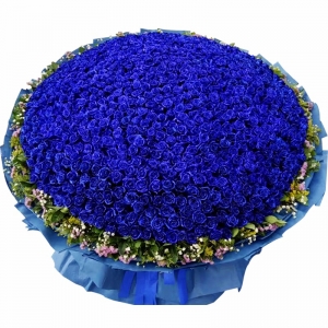 亲爱的，嫁给我吧！-999支精品蓝色妖姬，外围搭配适量白色满天星、粉色勿忘我、黄莺、栀子叶